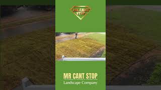 Sod Lawn Installation – Transform Your Yard Instantly [upl. by Julissa]