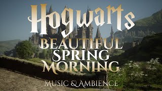 Beautiful Spring Morning on Hogwarts Grounds  Hogwarts Legacy Harry Potter Ambience [upl. by Nivej]