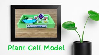 Paper Plant Cell Model [upl. by Alva]