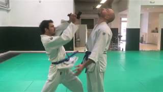 Goshin Jitsu kata Jujitsu traditionnel [upl. by Auria]