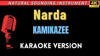 Narda  Kamikazee HD Karaoke Version [upl. by Gassman]