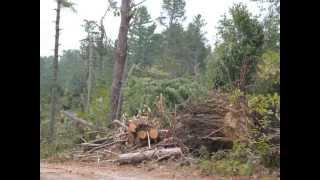 Tornado Damage New Hampshire 2008 [upl. by Atoiyanap]