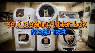 Self Cleaning Litter Box Mega Test LITTERROBOT 4 REVIEW [upl. by Anavahs320]