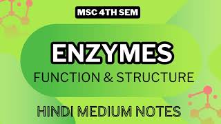 Enzymes  Msc 4th sem  biochemistry  hindi medium notes mscnotes chemistry msc4thsemnotes [upl. by Gawlas573]