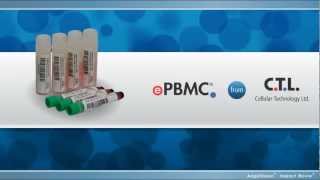 PBMC Cryopreserved Peripheral Blood Mononuclear Cells [upl. by Scornik]