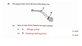 BIOLOGY KCSE 2022 Biology paper 1 Questions and answers for biology  High school biology [upl. by Mazman969]