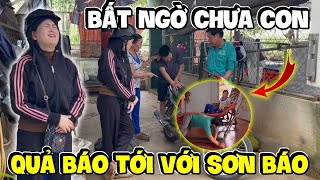 Bị Chửi Te Tua Vì Màn Ném Đá Dấu Tay Của Thằng Ba Báo  Hải Ka Vlogs [upl. by Nirrat]