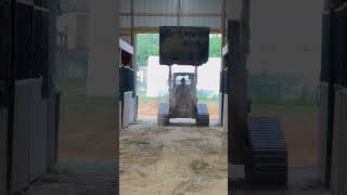 Easiest way to put bedding in your horse stalls  drafthorse horse equine equinelife viral [upl. by Nerrot863]