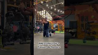 Press pallof  flexion de hombro arrodillado  kneeling pallof press with shoulder flexion [upl. by Isnyl]