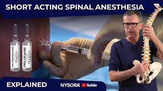 Mastering ShortSpinal Anesthesia WHY WHEN HOW [upl. by Delila274]