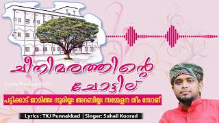 ചീനീ മരത്തിന്റെ ചോട്ടില്  cheeni marathinte chottile Suhail Koorad TkJ Punnakkad  Jamia New Song [upl. by Acirehs]