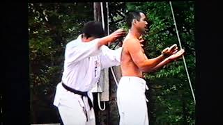 1990 Uechiryu Henniker DEMONSTRATIONS [upl. by Lucho757]