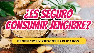 ¿Es Seguro Consumir Jengibre Beneficios y Riesgos Explicados [upl. by Meier]