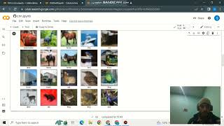 Convolution Neural Network CNN Code in HindiUrdu for Image Classification [upl. by Llenehs]