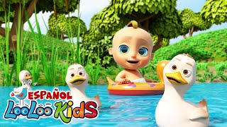 🦆 Cinco Patitos y Muchas Más Melodías 🎵  2 Horas de Entretenimiento Infantil con LooLoo [upl. by Bud]