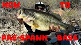 How To Catch Big Bass In PreSpawn Using Big Swimbaits And Crankbaits [upl. by Odraccir]