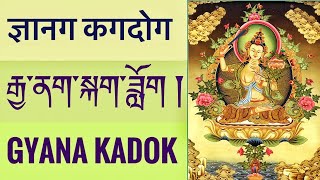 རྒྱ་ནག་སྐག་ཟློག ज्ञानग कगदोग GYANAK KADOK [upl. by Haelam]