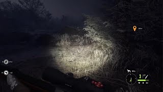 theHunter Call of the Wild found musk deer doddies and face wolves [upl. by Kamaria]