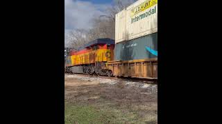 CSX 1973 Chessie System hitches a ride on CSX I116 csx train heritage chessie railroad [upl. by Phillida206]