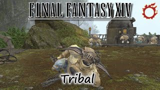 Lets play FF14 Tribales  Les Kobolds FR [upl. by Nytnerb407]