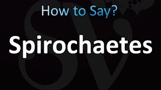 How to Pronounce Spirochaetes correctly [upl. by Aihsik427]