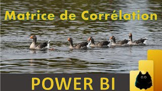 Analyse financière avec Power BI  Matrice de corrélation en langage R Tutoriel pratique [upl. by Ulda]