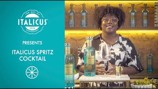 Ep5  ITALICUS SPRITZ COCKTAIL with LP OBrien [upl. by Anees]