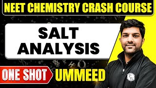 SALT ANALYSIS in 1 Shot  All Concepts Tricks amp PYQs  NEET Crash Course  Ummeed [upl. by Kaine487]