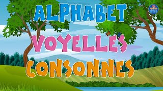 Alphabet  les voyelles et les consonnes [upl. by Minor741]