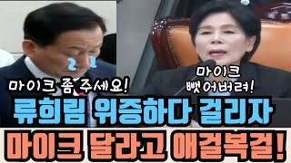 과방위 류희림 위증하다 걸리자 마이크 좀 제발 주세요 애걸복걸 [upl. by Rednasyl]