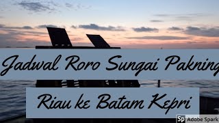 Kapal Roro dari Pelabuhan Sei Selari Sungai Pakning ke Punggur Batam [upl. by Elletsyrk]