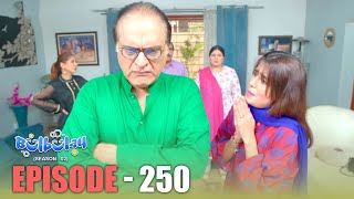 Bulbulay Season 2 Episode 250  Comedy  Ayesha Omar amp Nabeel  Momo  Mehmood Sahab [upl. by Tremain]