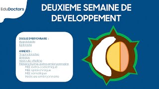 Deuxième semaine de développement embryonnaire  Embryologie générale [upl. by Ollayos544]