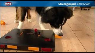 Intelligentes Hundespielzeug Move2Win Trixie [upl. by Hanimay]