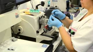 AIDPATH  HISTOLOGICAL TISSUE SAMPLE PREPARATION [upl. by Lusa140]