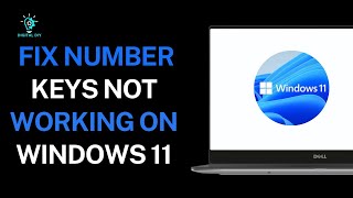 How to Fix Number Keys not Working on Windows Windows 11 [upl. by El]