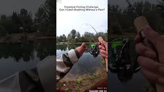 Freestyle Fishing Challenge Can I Catch Anything Without a Plan evolutionfishing flatheadfishing [upl. by Radbourne]