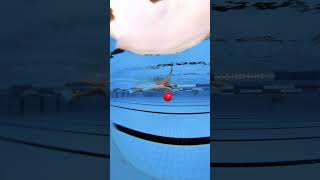 How to do a proper high elbow catch in freestyle swimming swimming shorts [upl. by Manella]