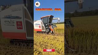 Kubota DR120 combine harvester II Mini combine harvester [upl. by Nager]