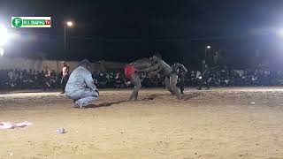 final poids lourd ORDINATEUR VS IBOU KANE LE 03 NOVEMBRE 2024 AU TERRAIN GALGUI [upl. by Aem243]