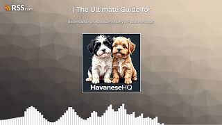 Understanding Separation Anxiety in Havanese Dogs [upl. by Elamor]