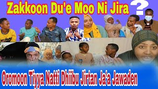 ⛔Oromoo Tiyya Hanga Tokko Natti Dhiibu Jirtan Jaa Jawaden [upl. by Nappie814]