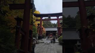 Autumn Leaves Kitaguchi Fuji Shrine Yamanashi Japan [upl. by Clarkson]