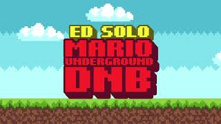 Ed Solo  Mario Underground DnB [upl. by Llydnek]