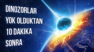 Dinozorların Nesli Tükendikten 10 Dakika Sonra Neler Olduğunu İzleyin [upl. by Ardnuaek]