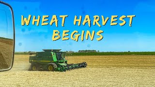 WHEAT HARVEST Part 1  Harvest Begins [upl. by Ecarret]