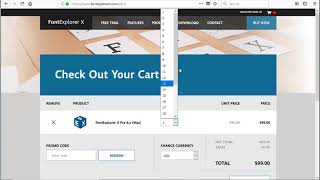 FontExplorer X Pro 30 OFF coupon code [upl. by Revlis]