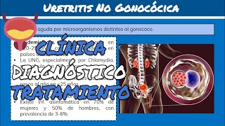 ⚕️🩺 Uretritis POSTGONOCÓCICA y Uretritis NO GONOCÓCICA Síntomas Diagnóstico y Tratamiento [upl. by Grubman986]