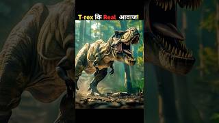 Real sounds of Trex [upl. by Akirehc]