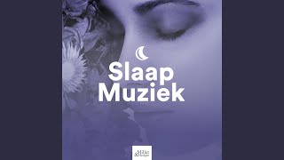 Rechtenvrije Muziek [upl. by Fulcher]